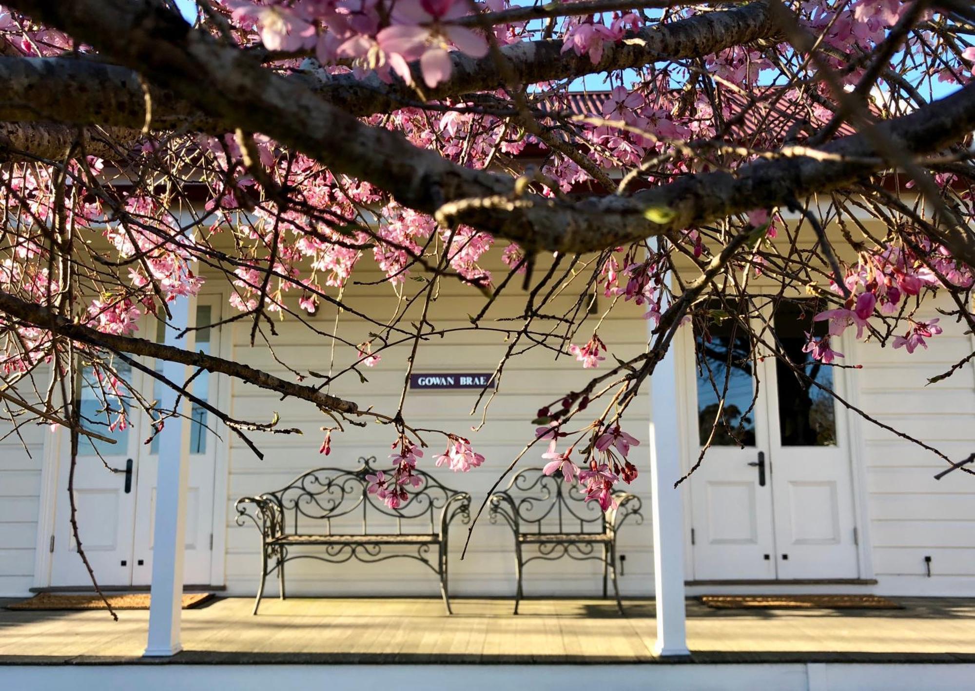 Gowan Brae Cottage Katoomba Luaran gambar